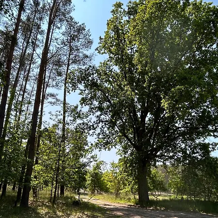 Apartment Dom Nad Jeziorem Trzy Tonie Silna Nowa