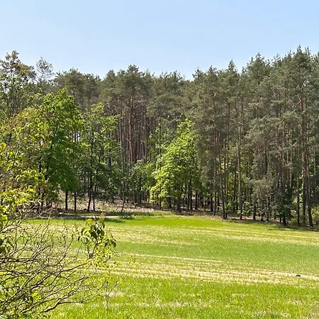 Apartment Dom Nad Jeziorem Trzy Tonie