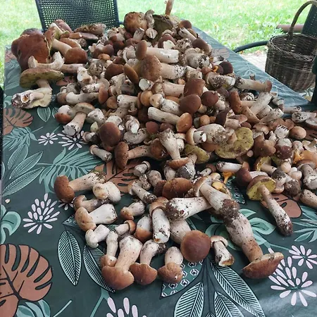 Dom Nad Jeziorem Trzy Tonie Apartment