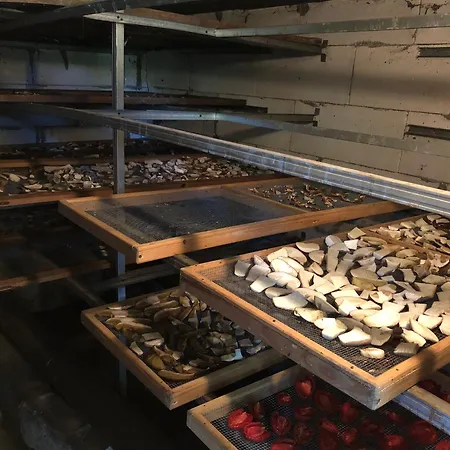 Apartment Dom Nad Jeziorem Trzy Tonie