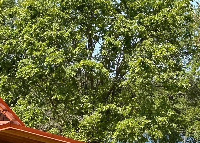 Dom Nad Jeziorem Trzy Tonie Silna Nowa