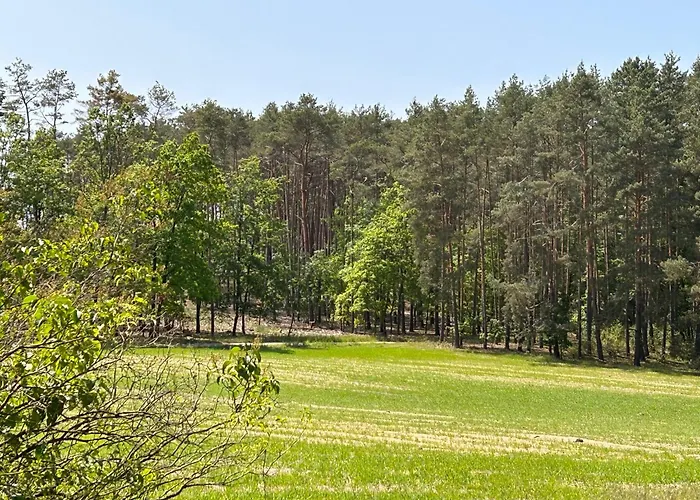 Apartament Dom Nad Jeziorem Trzy Tonie