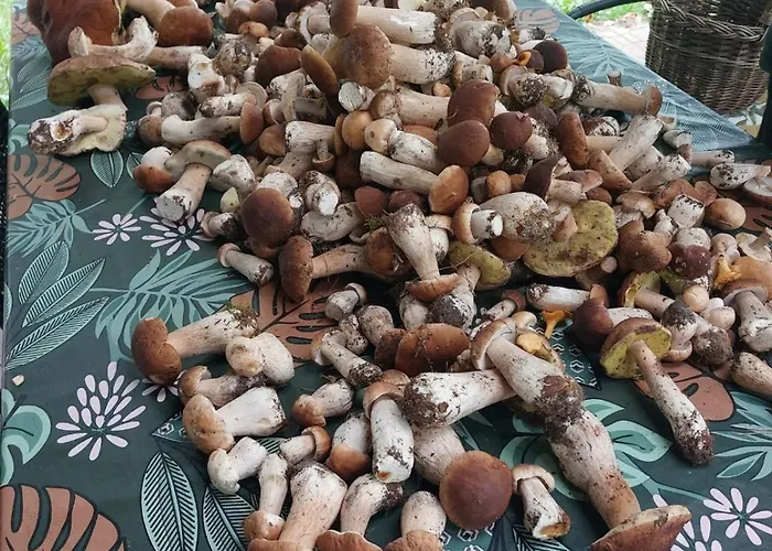 Dom Nad Jeziorem Trzy Tonie Apartament