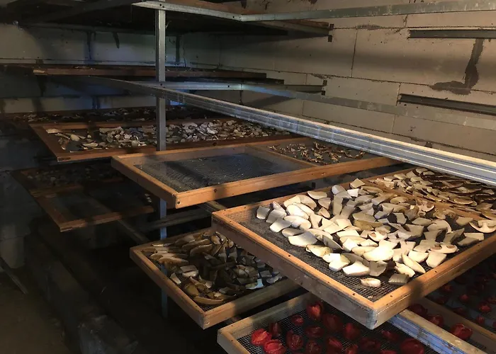 Apartament Dom Nad Jeziorem Trzy Tonie